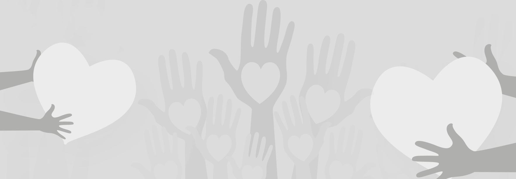 Sponsor a Horse "Teacher" image